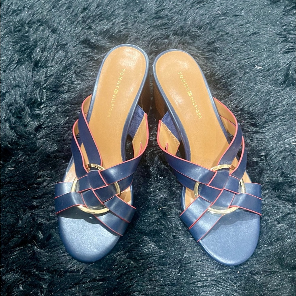 Tommy Hilfiger Enna Blue Blocked Open Toed Sandals